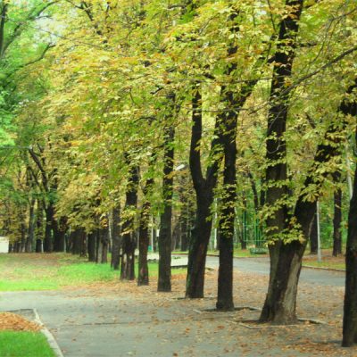 Пушкинский Парк в Киеве
