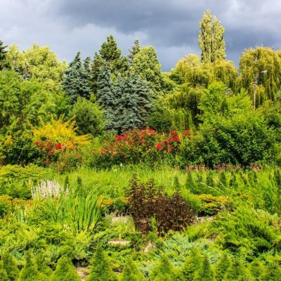 Сырецкий дендропарк в Киеве