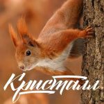 КАФЕ-РЕСТОРАН КРИСТАЛЛ В ХАРЬКОВЕ
