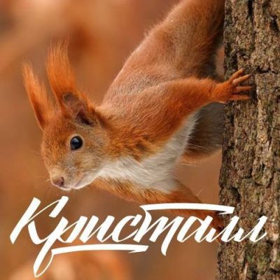 Логотип: Кафе-Ресторан КРИСТАЛЛ у Харкові
