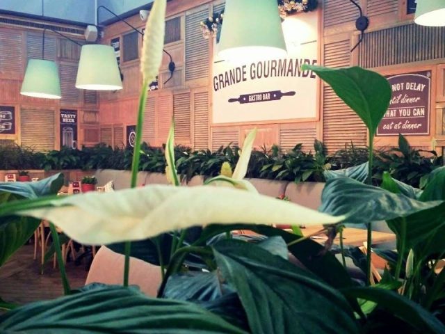 Bar Grande Courmande | Dnipro