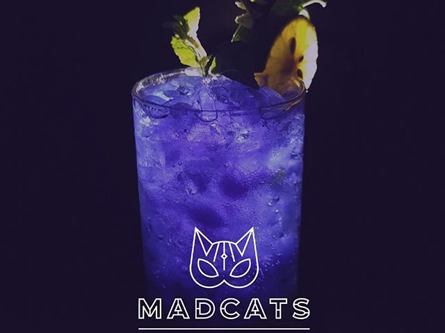 Бар Mad Cats | Чернишевська вул., 63