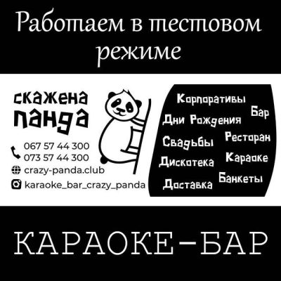 Bar "Skazhena Panda" | Hoholia St, 11