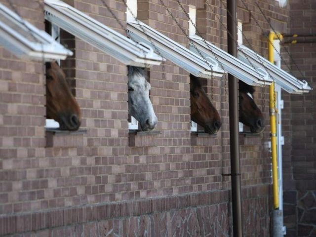 Ресторан Butenko Stable | Хутірська вул., 12Б — фото 4