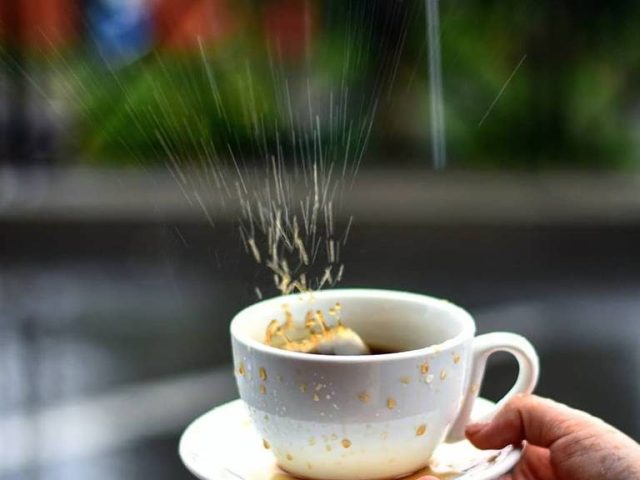 Coffee & Flowers | Соборна вул., 10-А