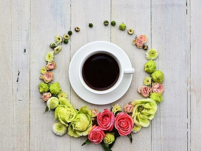 Coffee & Flowers | Соборна вул., 10-А