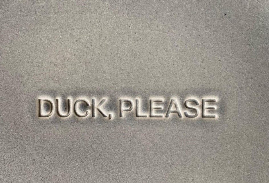 Fast Food Duck, Please | Kyiv