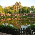 Ресторан Forrest Club | Литовський просп., 20-А