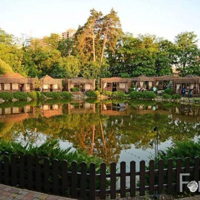 Ресторан Forrest Club | Литовський просп., 20-А