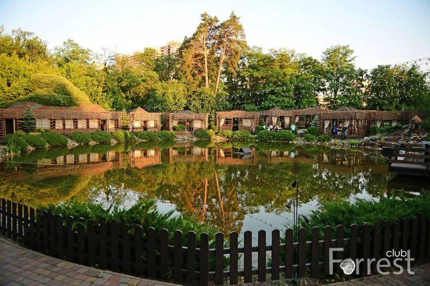 Ресторан Forrest Club | Литовський просп., 20-А