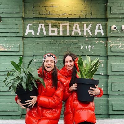 Кафе Альпака | Жилянська вул., 43б/31