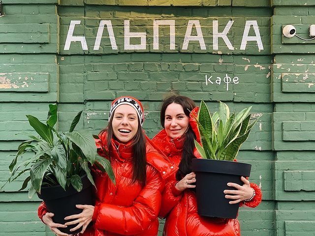 Кафе Альпака | Жилянська вул., 43б/31