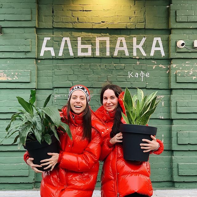 Кафе Альпака | Жилянська вул., 43б/31