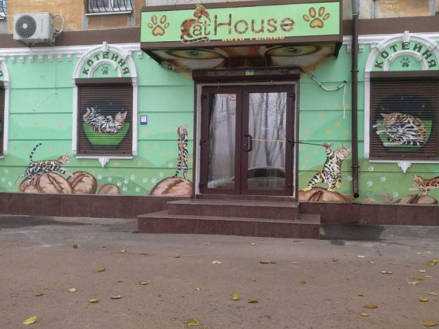 Café Antykafe/kovorkynh Cat House | Dnipro