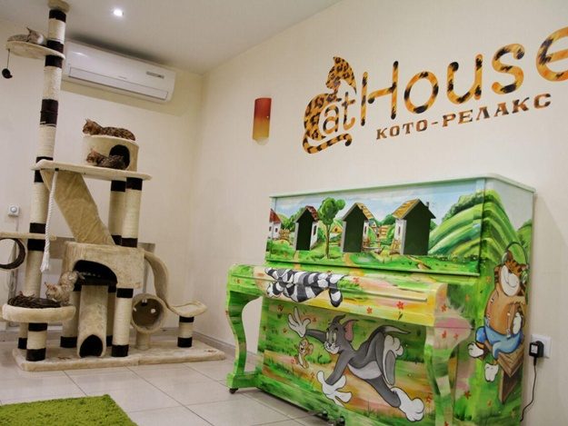 Кафе Антикафе/коворкинг Cat House | просп. Олександра Поля, 135