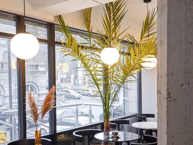 Кафе Apollo Cafe | Шовковична вул., 42-44