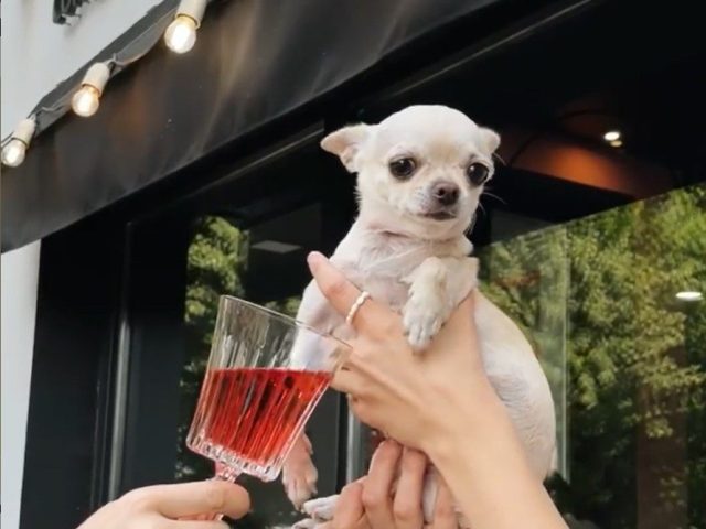 Кафе Beans and Brews | Европейская ул., 4