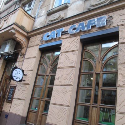 Кафе Cat Cafe | пл. Генерала Петра Григоренка, 1-А