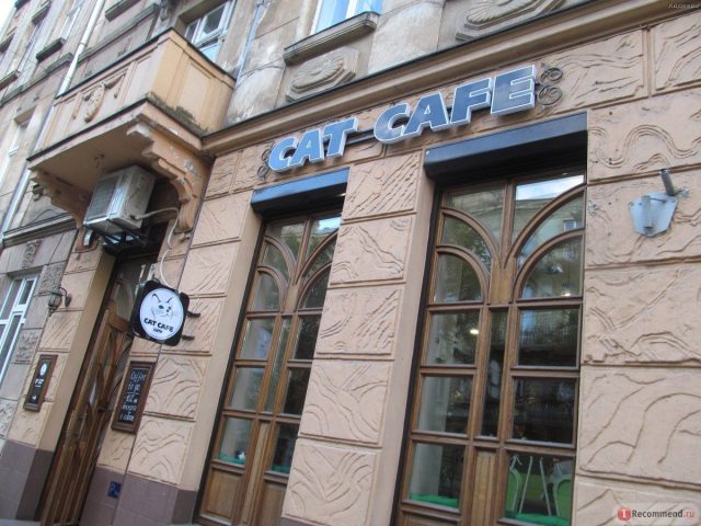 Кафе Cat Cafe | пл. Генерала Петра Григоренка, 1-А