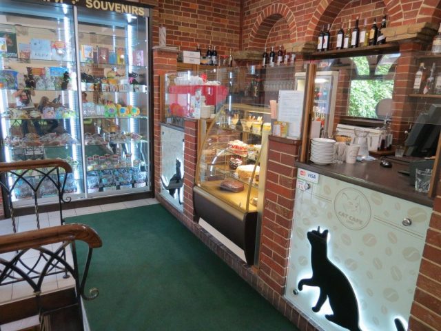 Кафе Cat Cafe | пл. Генерала Петра Григоренка, 1-А