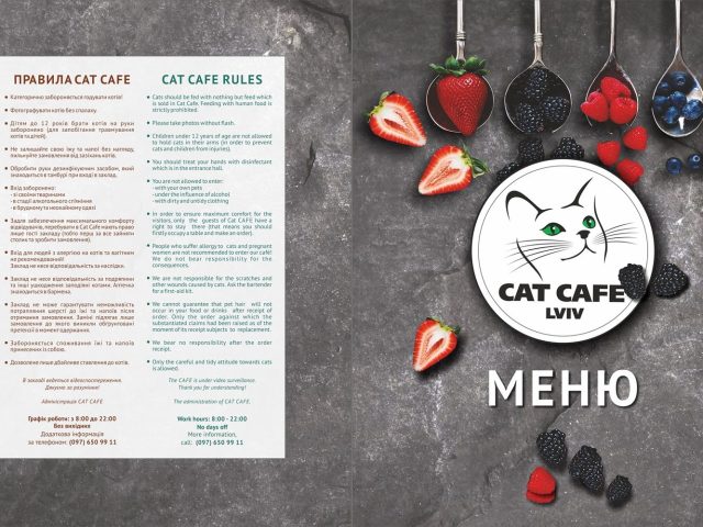 Кафе Cat Cafe | пл. Генерала Петра Григоренка, 1-А