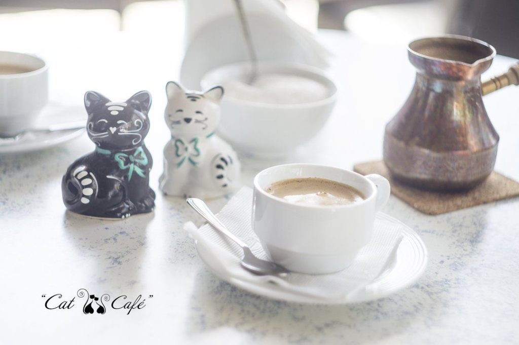 Кафе Cat Cafe | вул. Павла Скоропадського