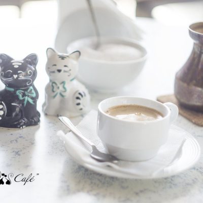 Кафе Cat Cafe | вул. Павла Скоропадського