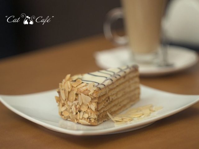 Кафе Cat Cafe | вул. Павла Скоропадського
