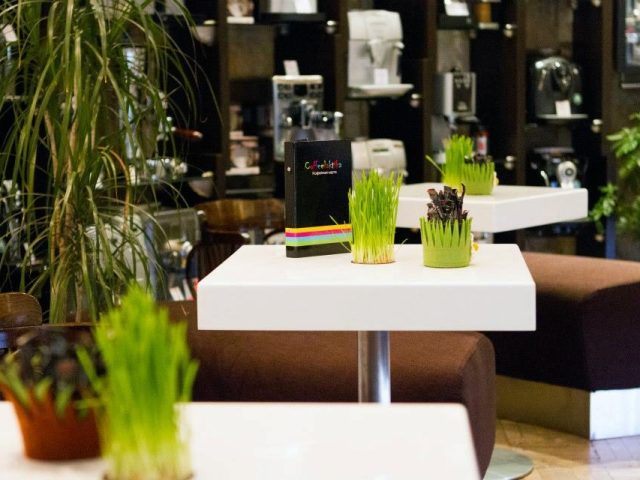 Кафе Coffeelaktika | Кооперативна вул., 8