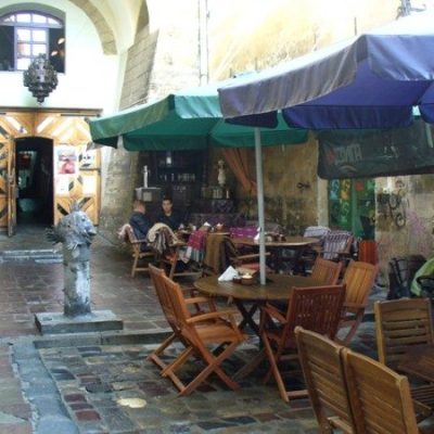 Café Dzyha | Lviv