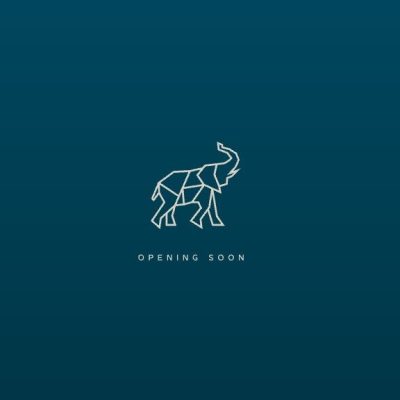 Кафе Elephant | вул. Ярослава Мудрого, 34