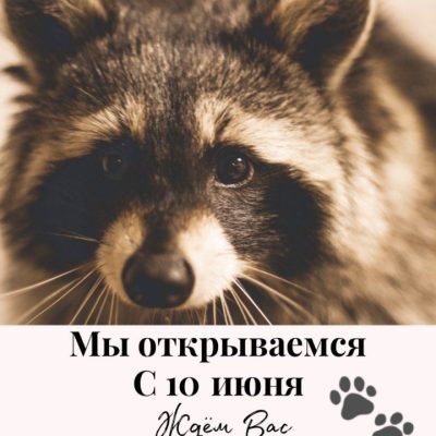 Café Enot coffe | Kharkiv