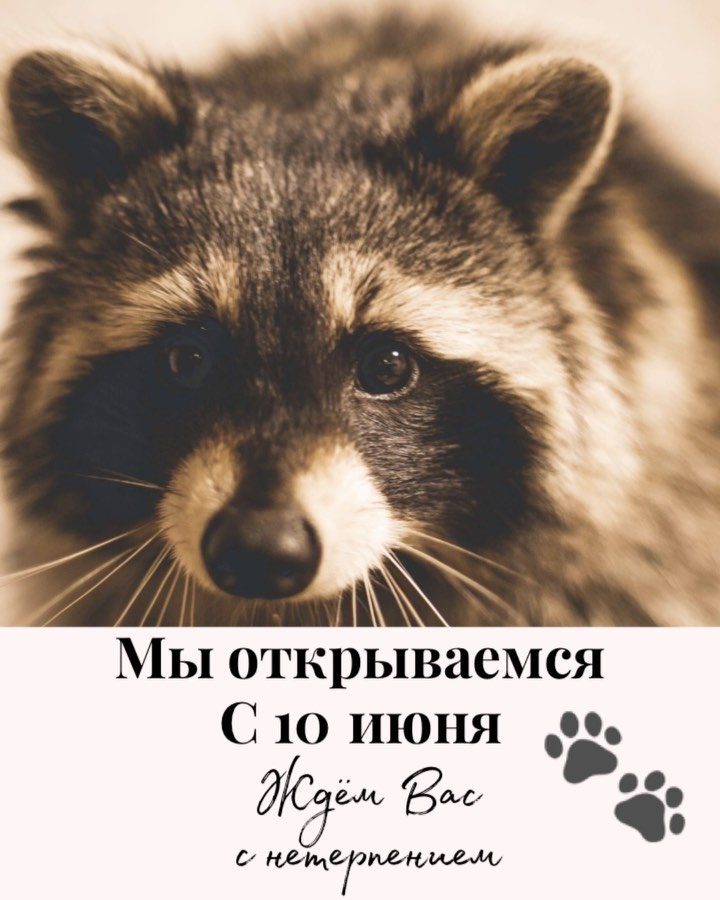 Кафе Енот coffe | Сумська вул., 92