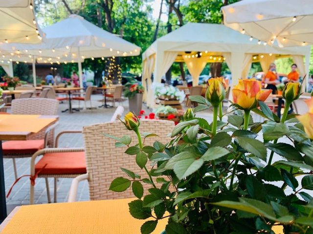 Café Forest | Kyiv