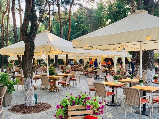 Café Forest | Kyiv
