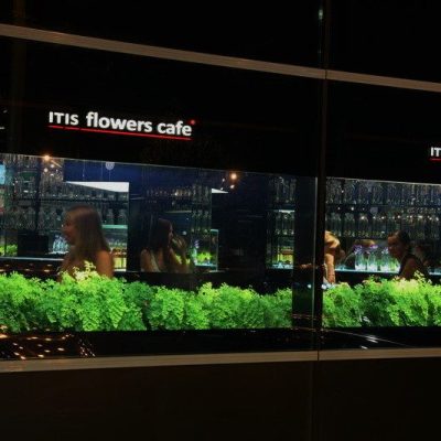 Кафе Itis Cafe | Академическая ул., 28