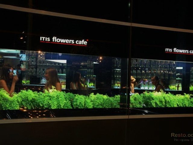 Кафе Itis Cafe | Академічна вул., 28