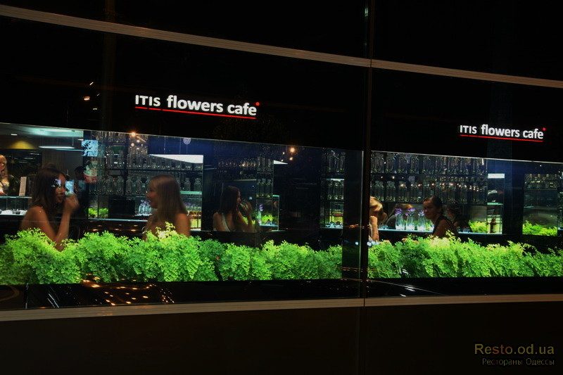 Кафе Itis Cafe | Академічна вул., 28