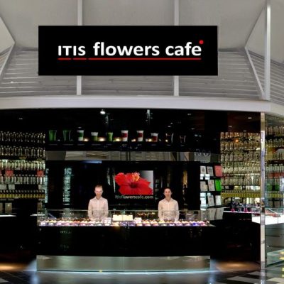 Кафе Itis Cafe | вул. Михайла Гришка, 5