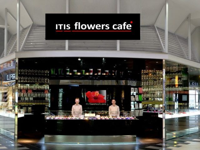 Кафе Itis Cafe | вул. Михайла Гришка, 5