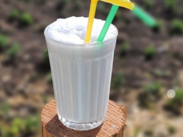 Café Kozy y Matrosy | Odesa