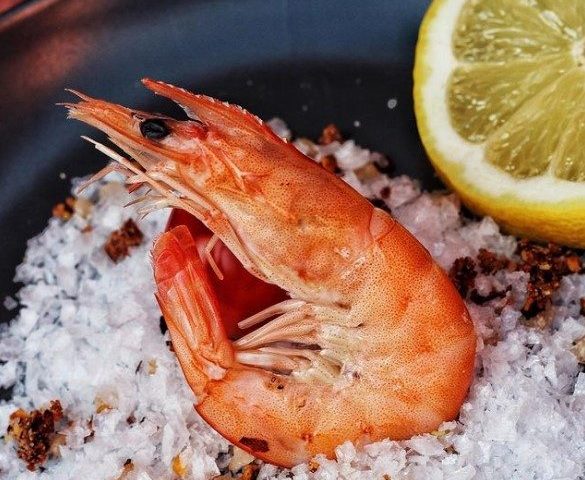 Кафе Креветка | Краковская ул., 1