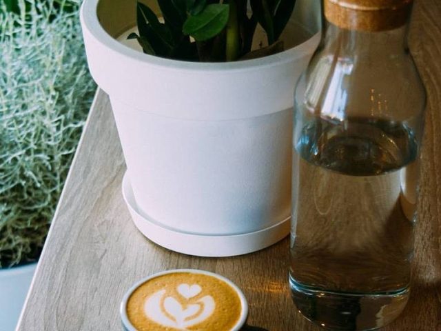 Кафе Lion Coffee | Жилянська вул., 37/97