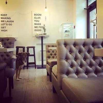 Café Mindal Coffee Room | Kyiv