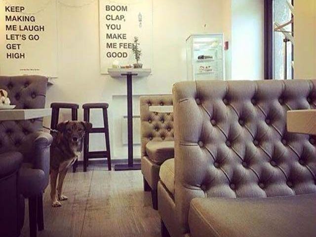 Кафе Mindal Coffee Room | вул. Олеся Гончара, 80/3