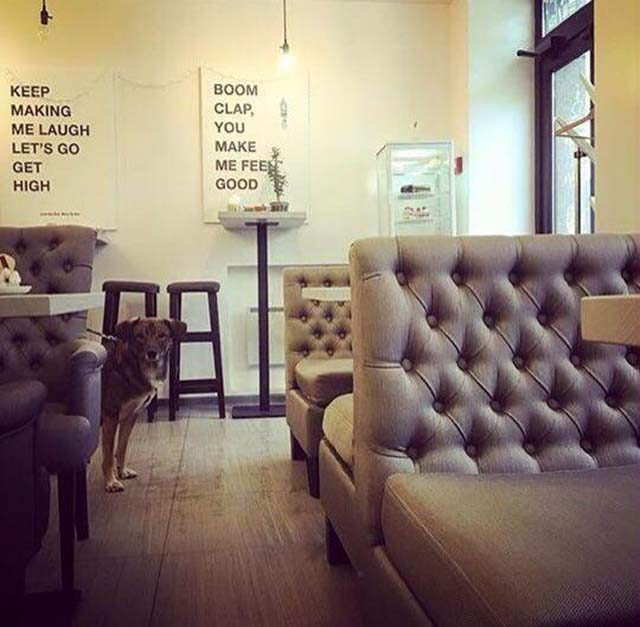 Café Mindal Coffee Room | Kyiv