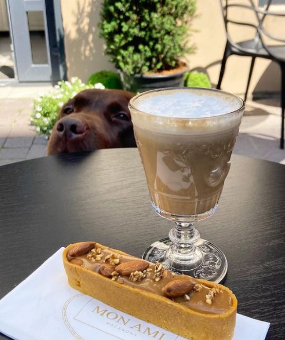 Café Mon Ami | Lviv