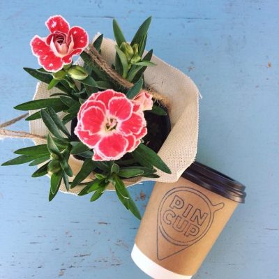 Кафе PIN CUP | Європейська вул., 8-Б