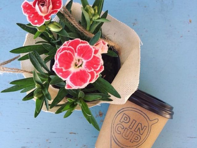 Кафе PIN CUP | Европейская ул., 8-Б