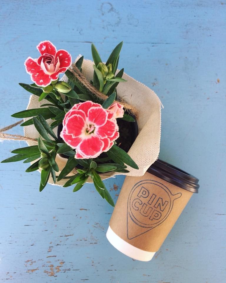 Кафе PIN CUP | Європейська вул., 8-Б